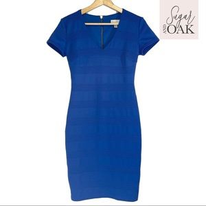 BISOU BISOU by Michele Bohbot Sz 4 Ribbed Blue Bodycon Knee Length Dress